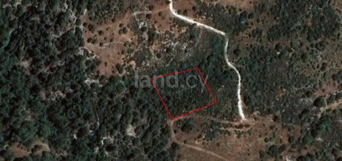 Agricultural plot for sale in Limassol