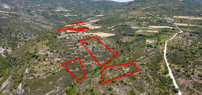 Agricultural plot for sale in Limassol