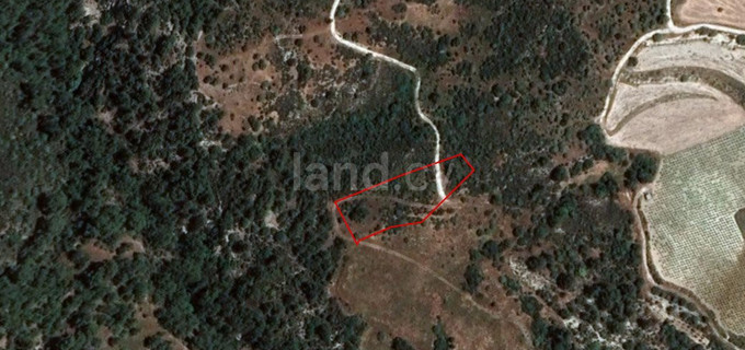 Agricultural plot for sale in Limassol