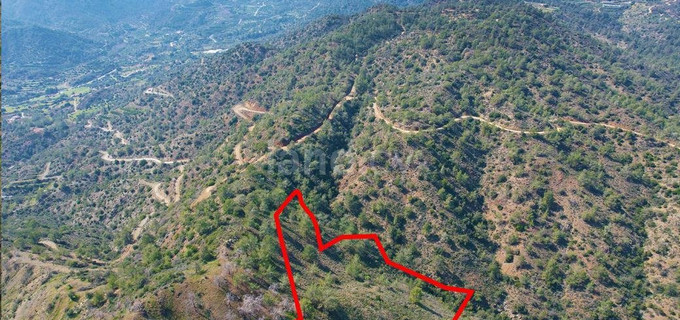 Agricultural plot for sale in Limassol