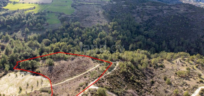 Agricultural plot for sale in Limassol