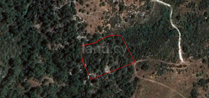 Agricultural plot for sale in Limassol