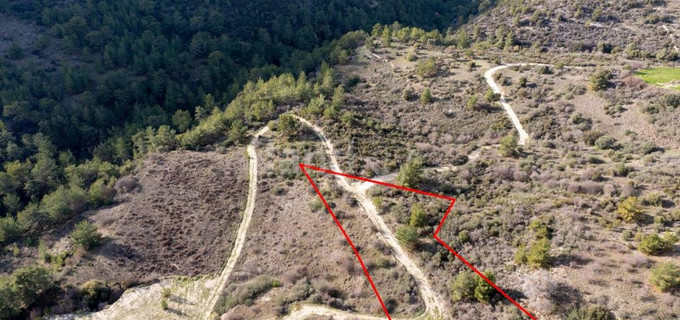 Agricultural plot for sale in Limassol