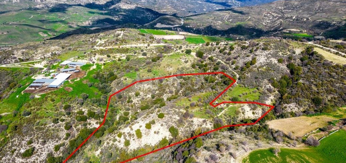 Agricultural plot for sale in Limassol