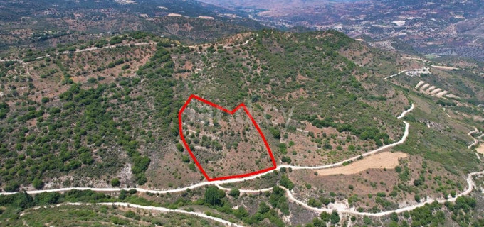 Agricultural plot for sale in Limassol