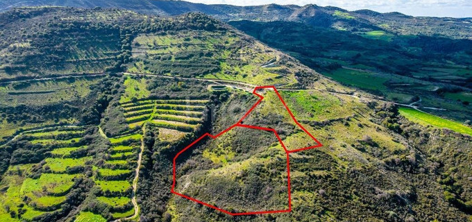 Agricultural plot for sale in Limassol