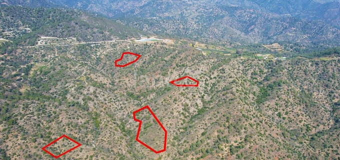 Agricultural plot for sale in Limassol