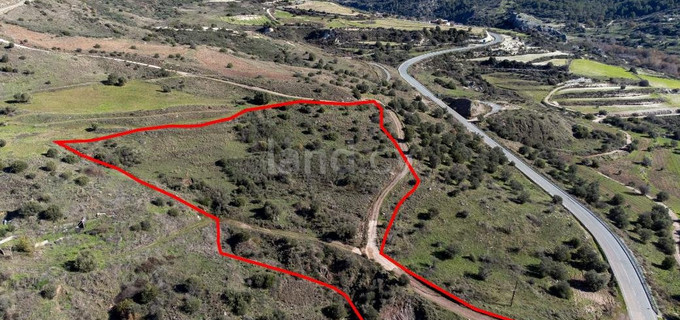 Agricultural plot for sale in Paphos