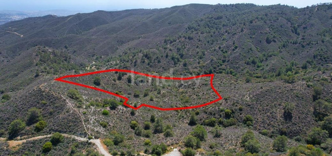 Agricultural plot for sale in Limassol