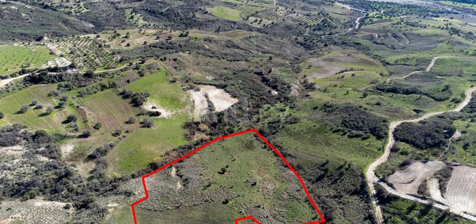 Agricultural plot for sale in Paphos