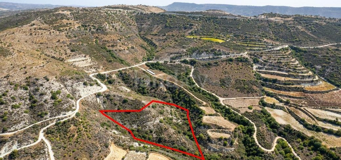 Agricultural plot for sale in Limassol