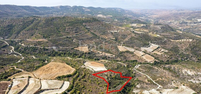 Agricultural plot for sale in Limassol