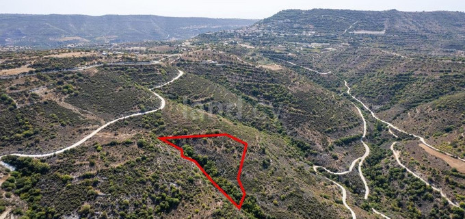 Agricultural plot for sale in Limassol