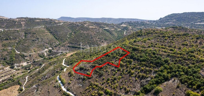 Agricultural plot for sale in Limassol