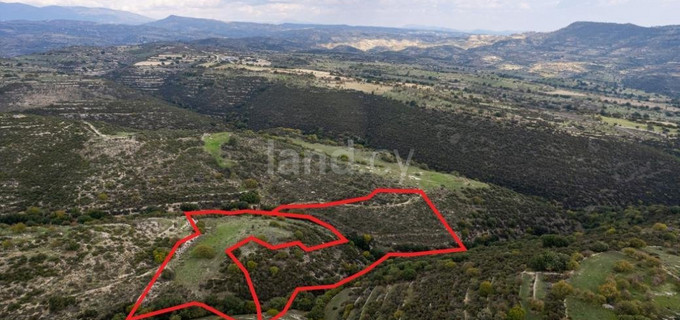 Agricultural plot for sale in Limassol