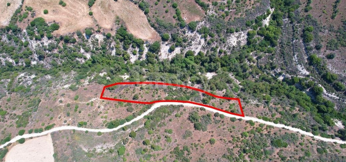 Agricultural plot for sale in Limassol