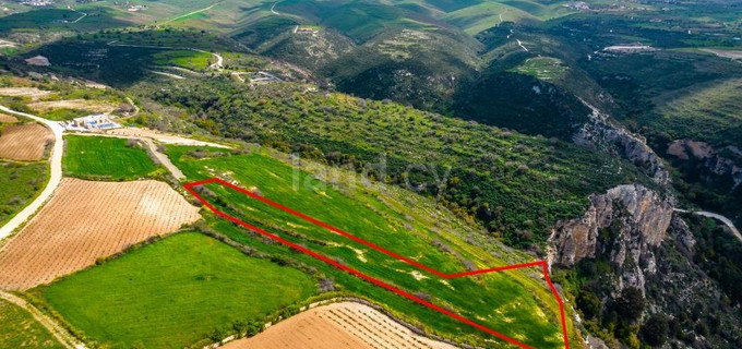 Agricultural plot for sale in Paphos