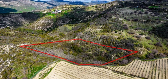 Agricultural plot for sale in Limassol