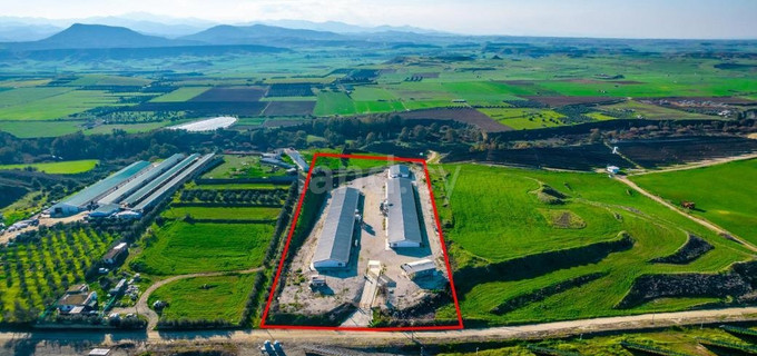 Parcela agrícola a la venta en Limassol