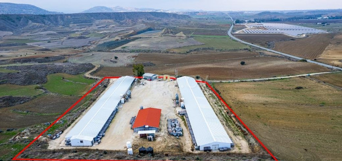 Landwirtschaftliches Grundstück in Limassol zu verkaufen