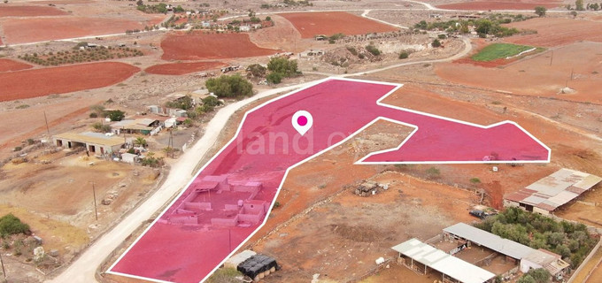Agricultural field for sale in Frenaros