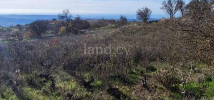 Terrain résidentiel à vendre à Paphos