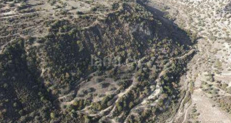 Αγροτικό αγροτεμάχιο προς πώληση - Πάφος
