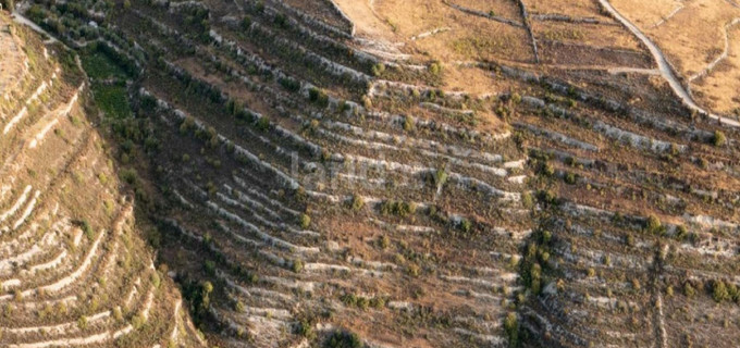 Landwirtschaftliches Baugebiet in Limassol zu verkaufen