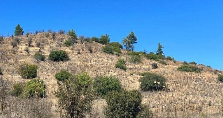 Αγροτικό αγροτεμάχιο προς πώληση - Λευκωσία