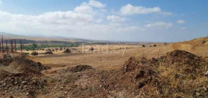 Agricultural field for sale in Nicosia