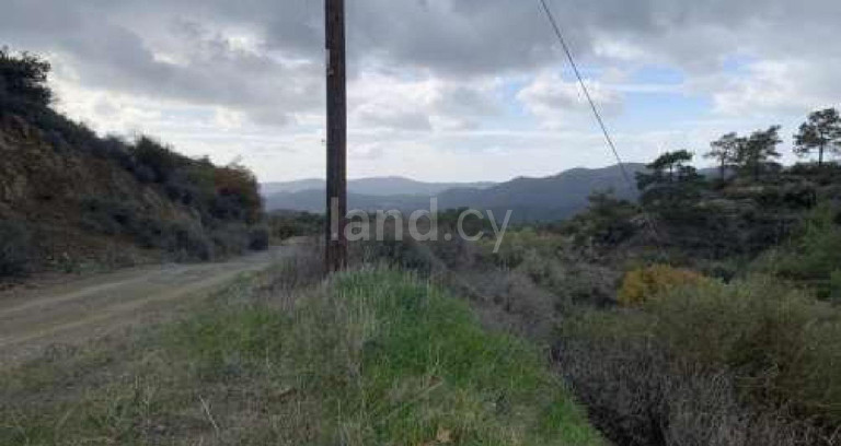 Agricultural field for sale in Larnaca
