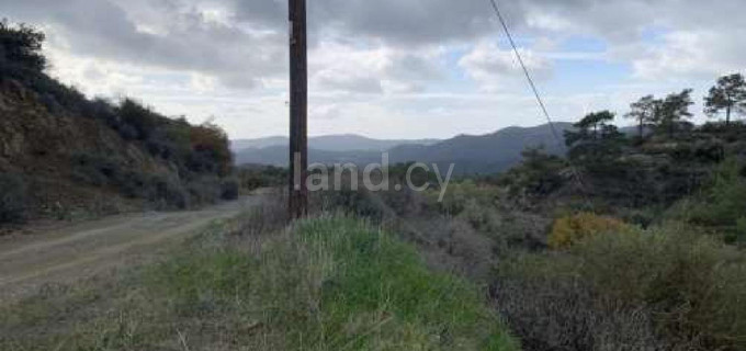 Agricultural field for sale in Larnaca