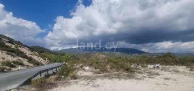 Agricultural field for sale in Limassol