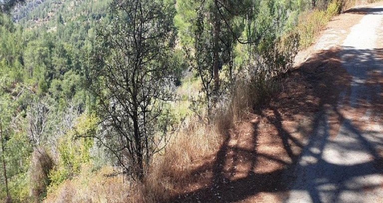 Campo agrícola a la venta en Limassol