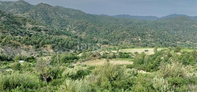 Terrain agricole à vendre à Limassol