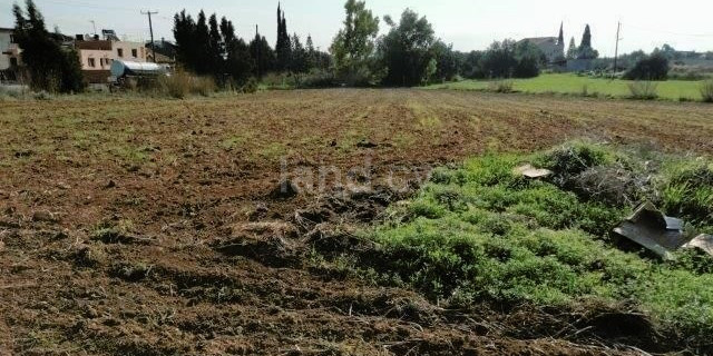 Agricultural field for sale in Limassol