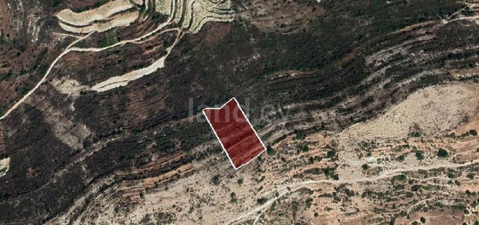 Agricultural field for sale in Limassol