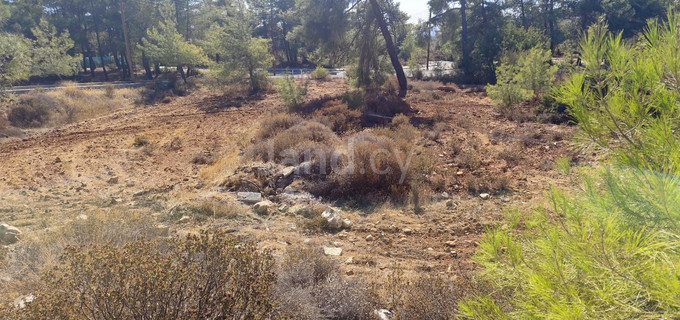 Οικιστικό αγροτεμάχιο προς πώληση - Λεμεσός