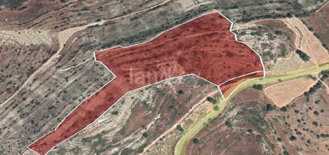 Agricultural field for sale in Limassol