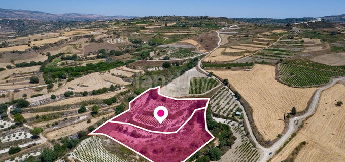 Field for sale in Paphos