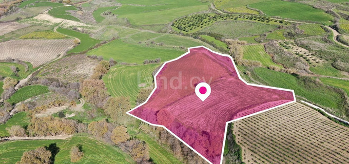 Field for sale in Paphos