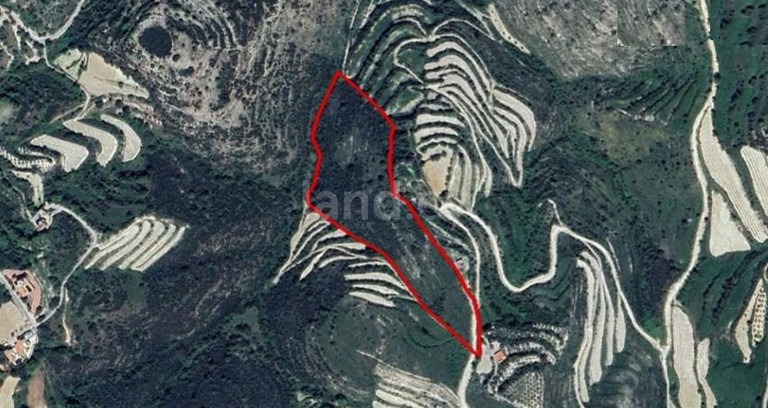 Terrain agricole à vendre à Paphos