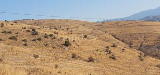 Campo agrícola a la venta en Paphos