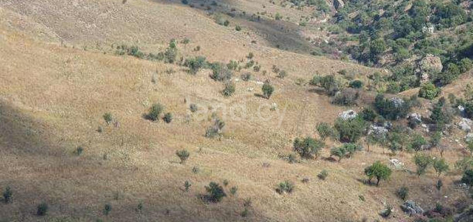 Agricultural field for sale in Paphos