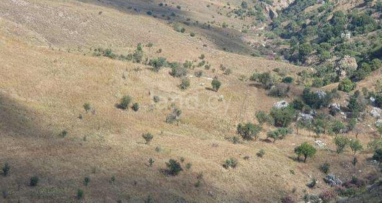 Jordbruksfält till salu i Paphos