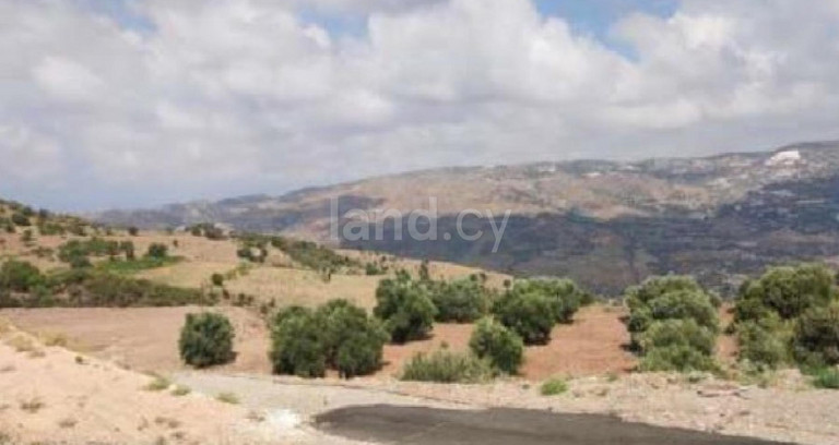 Agricultural field for sale in Paphos