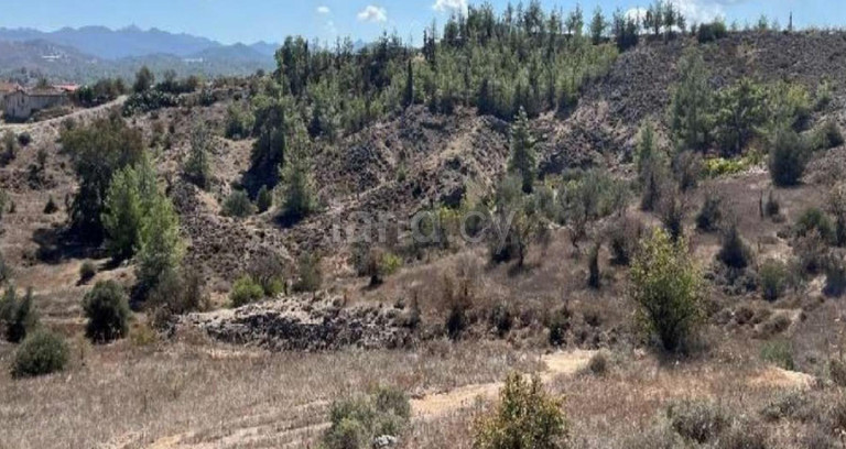 Αγροτικό αγροτεμάχιο προς πώληση - Λευκωσία