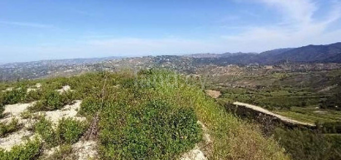 Campo agrícola a la venta en Paphos