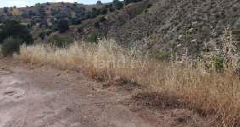 Terrain agricole à vendre à Paphos