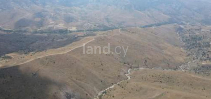 Agricultural field for sale in Paphos